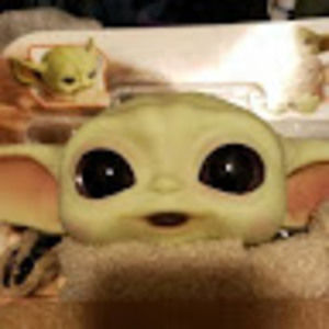 Meet your Posher, Kari